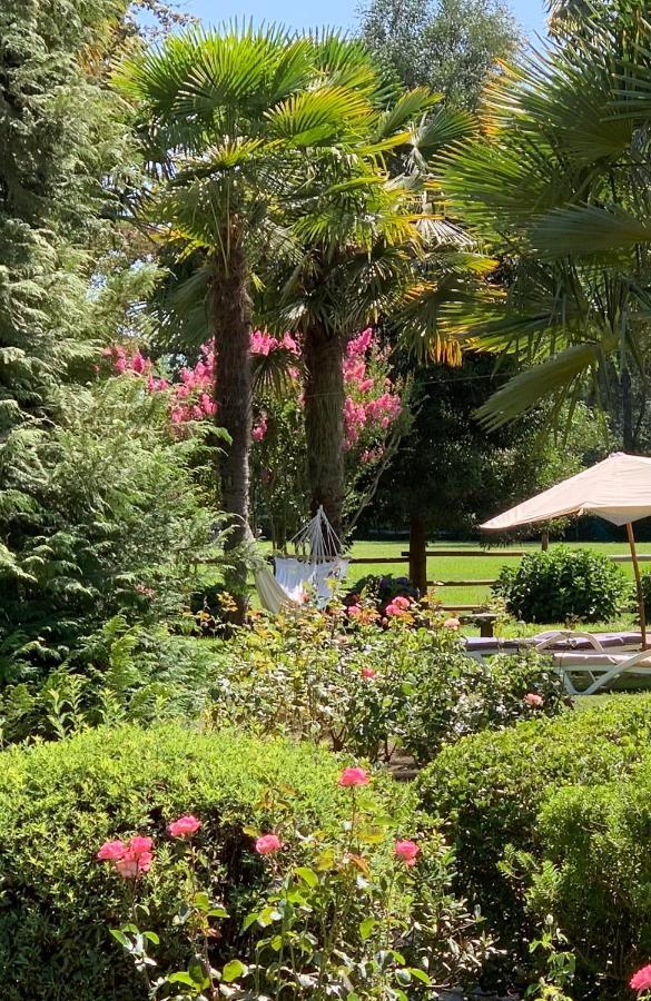 Bed & Breakfast ,Casa De Campo San Esteban,Linares Miraflores エクステリア 写真