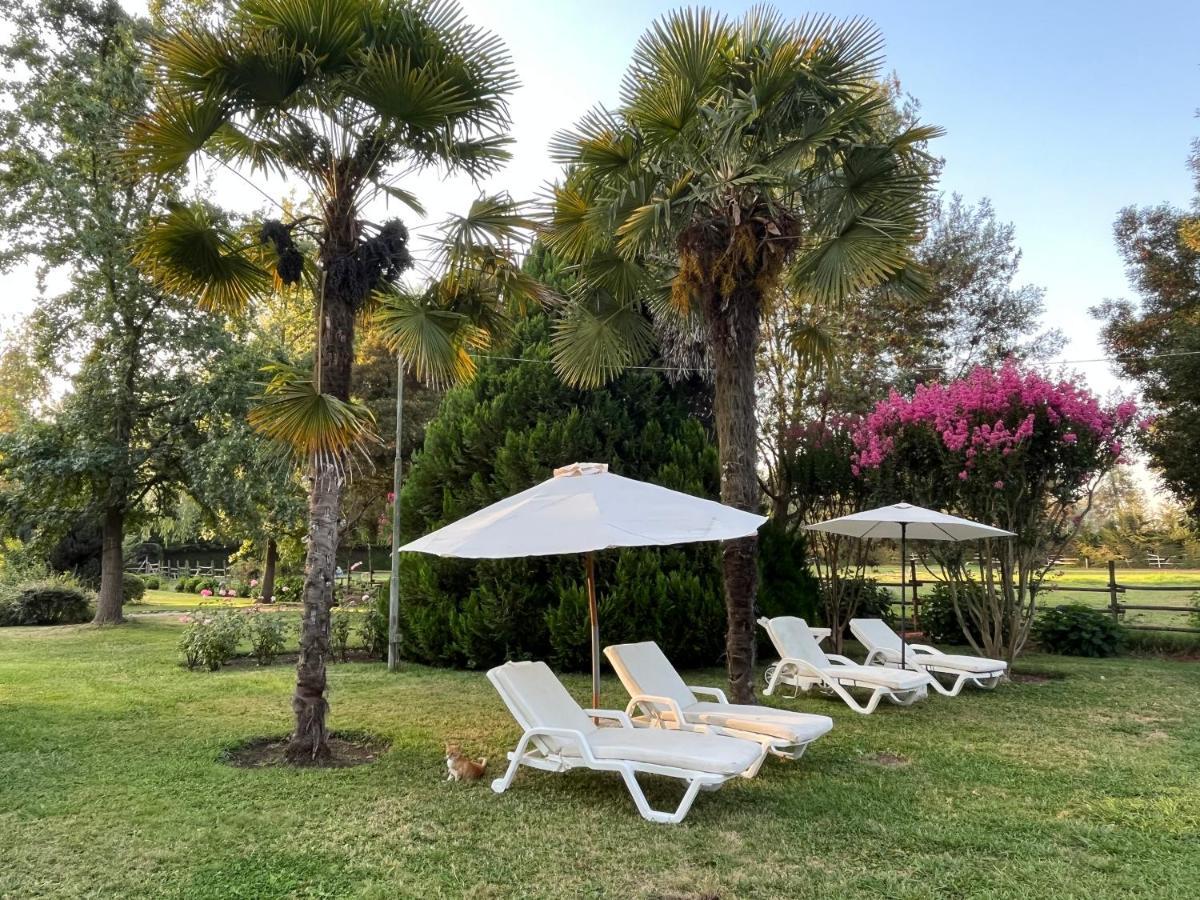 Bed & Breakfast ,Casa De Campo San Esteban,Linares Miraflores エクステリア 写真